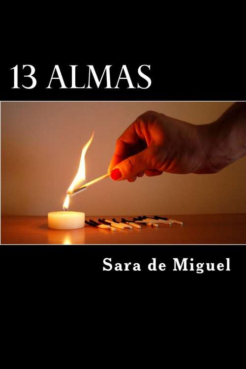 Book cover of 13 Almas