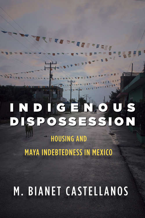 Book cover of Indigenous Dispossession: Housing and Maya Indebtedness in Mexico