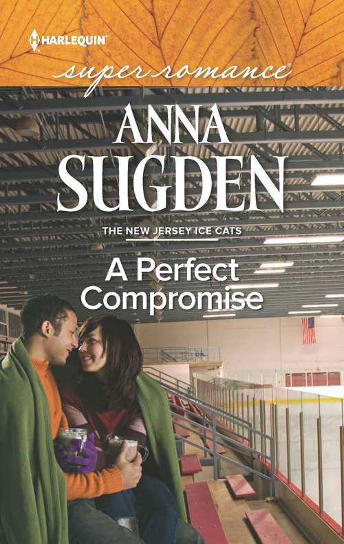 Book cover of A Perfect Compromise