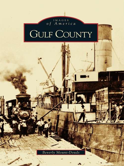 Book cover of Gulf County (Images of America)