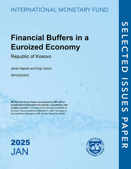 Book cover of Financial Buffers in a Euroized Economy: Republic of Kosovo