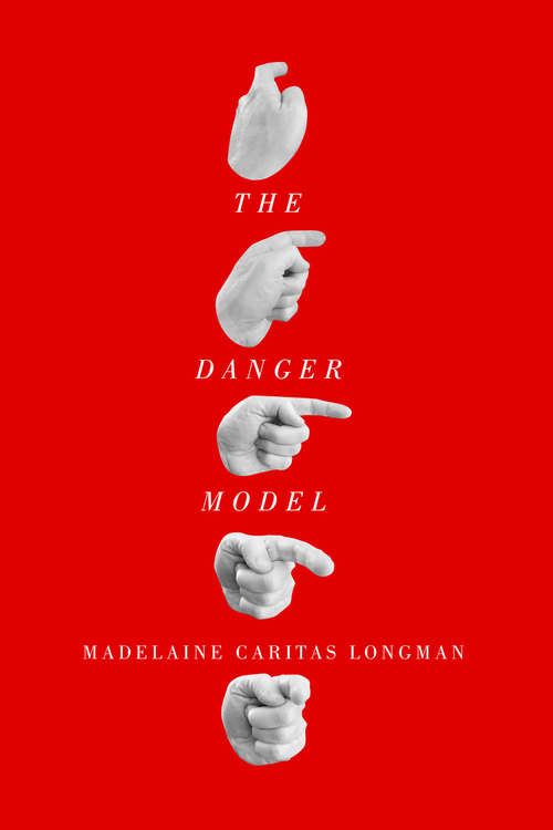 Book cover of The Danger Model (Hugh MacLennan Poetry Series #49)