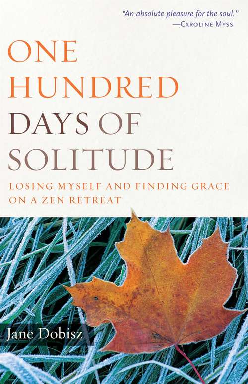 Book cover of One Hundred Days of Solitude