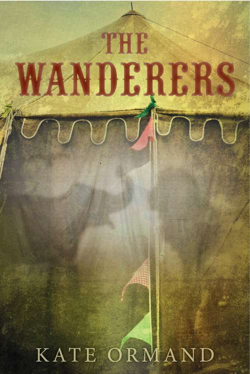 Book cover of Wanderers