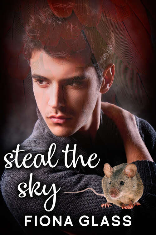 Book cover of Steal the Sky