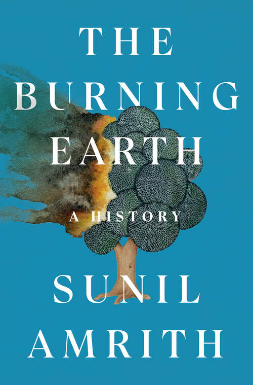 Book cover of The Burning Earth: A History