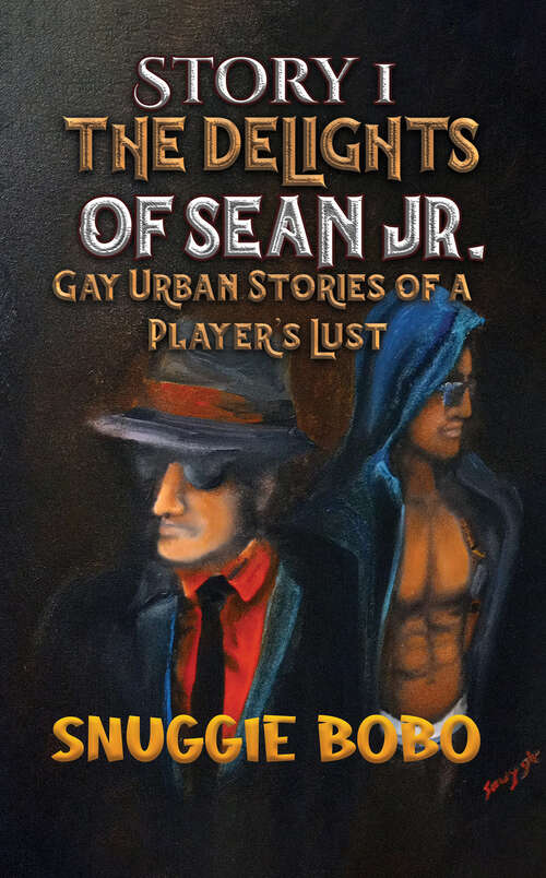 Book cover of Story 1: Gay Urban Stories of a Player's Lust