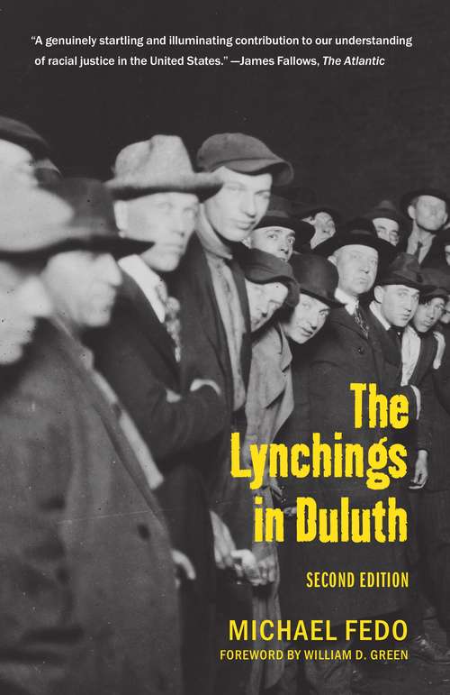 Book cover of The Lynchings in Duluth (Second Edition)