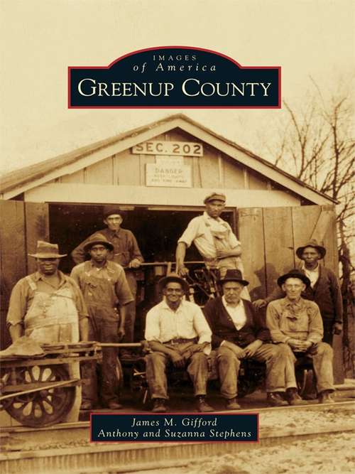 Book cover of Greenup County