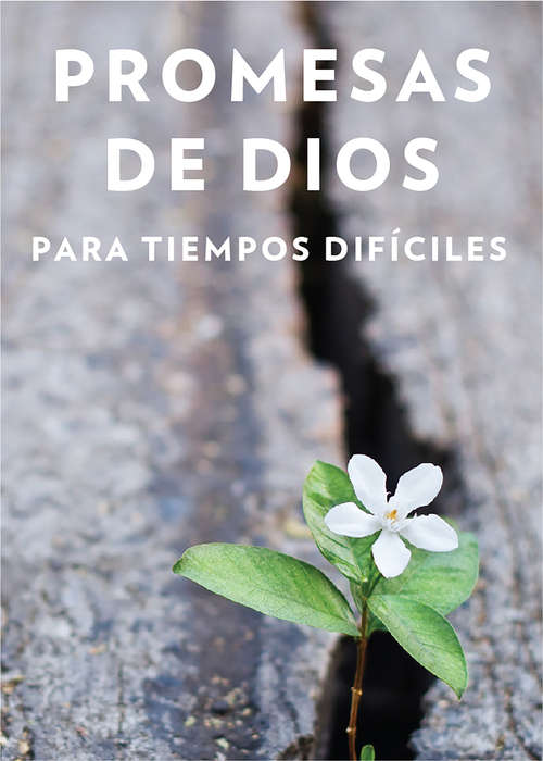 Book cover of Promesas de Dios en tiempos difíciles