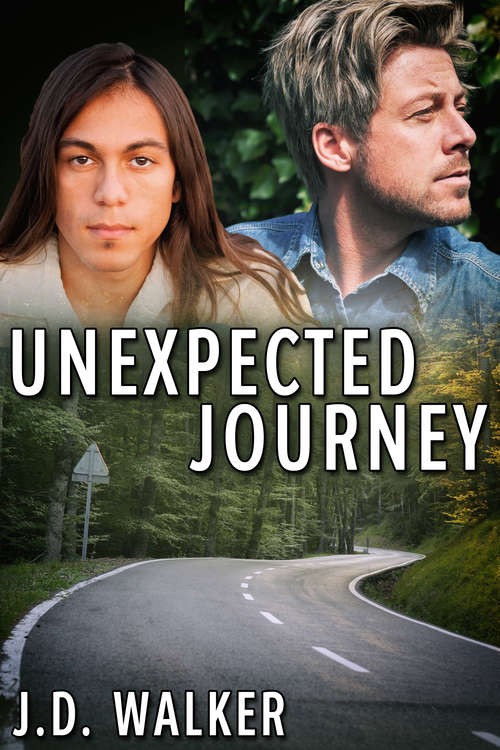 Book cover of Unexpected Journey