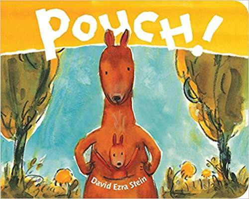 Book cover of Pouch