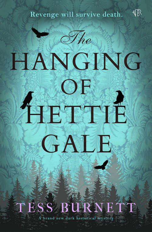 Book cover of The Hanging of Hettie Gale