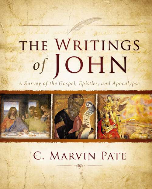 Book cover of The Writings of John: A Survey of the Gospel, Epistles, and Apocalypse