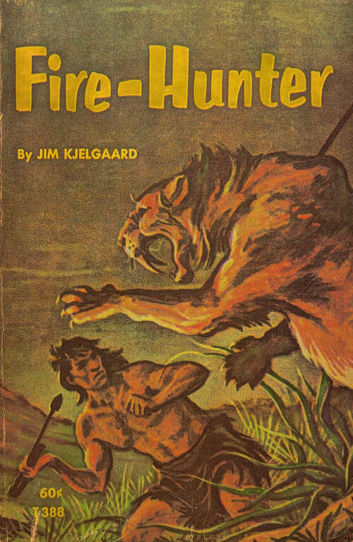 Book cover of Fire-Hunter