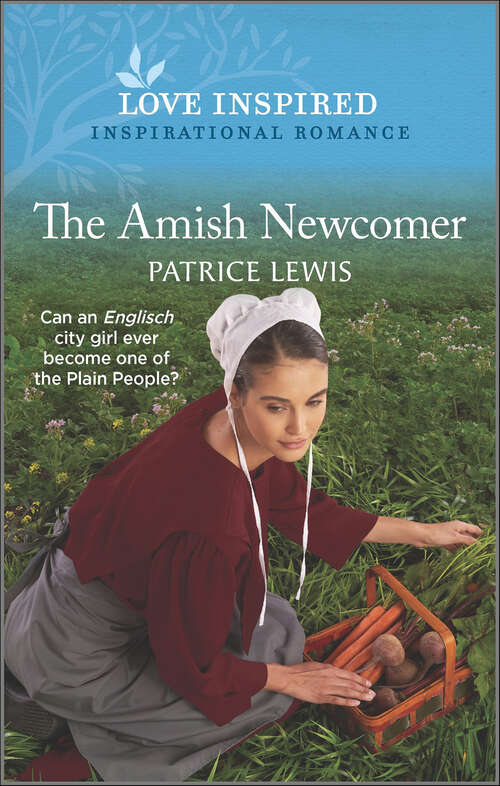 Book cover of The Amish Newcomer (Original)