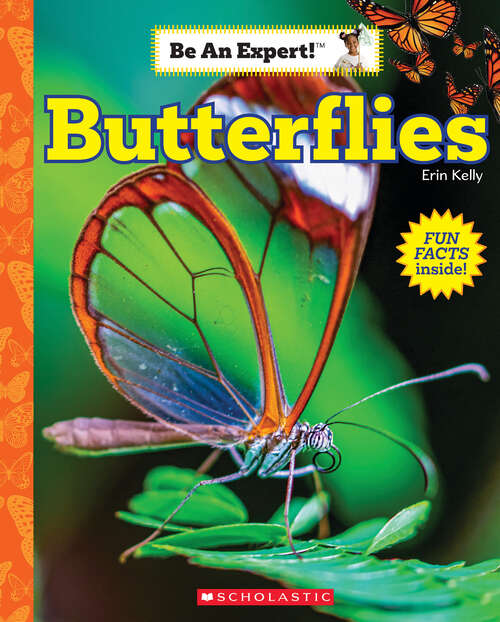 Book cover of Butterflies (Be an Expert!)