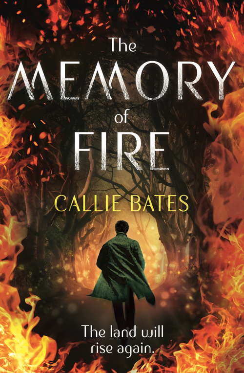 Book cover of The Memory of Fire: The Waking Land Book II (The Waking Land Series)