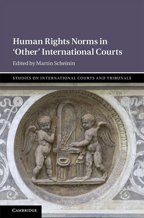 Book cover of Human Rights Norms in ‘Other' International Courts (Studies on International Courts and Tribunals)