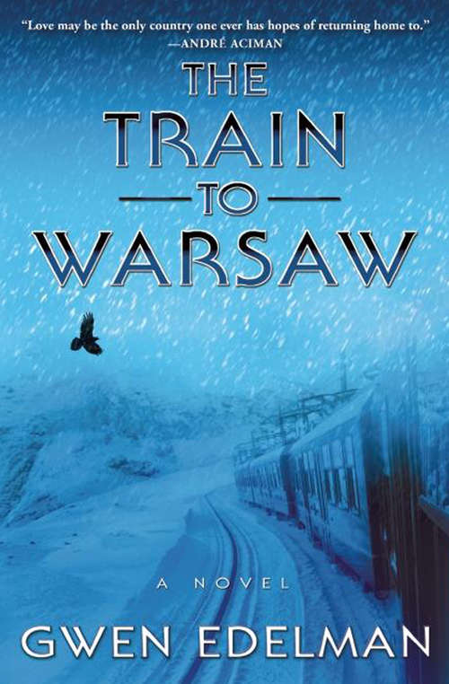 Book cover of The Train to Warsaw: A Novel