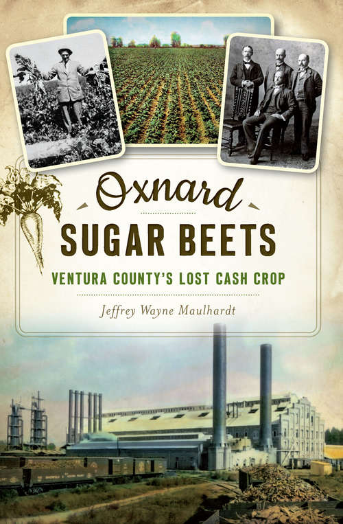 Book cover of Oxnard Sugar Beets: Ventura County's Lost Cash Crop (Lost)
