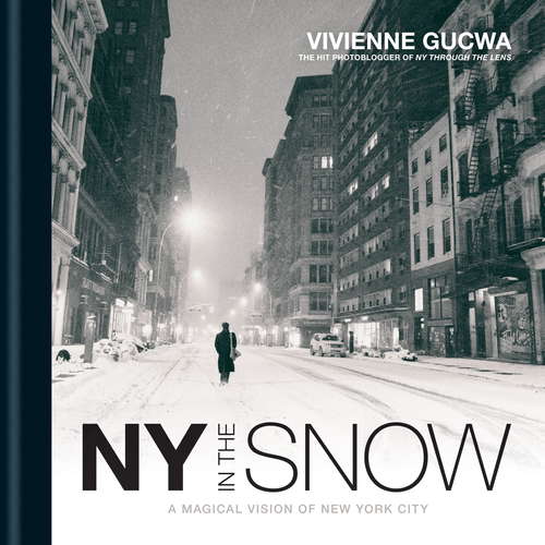 Book cover of New York In The Snow