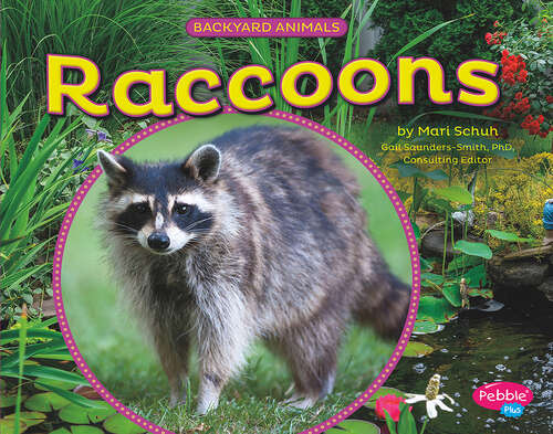 Book cover of Raccoons (Backyard Animals Ser.)