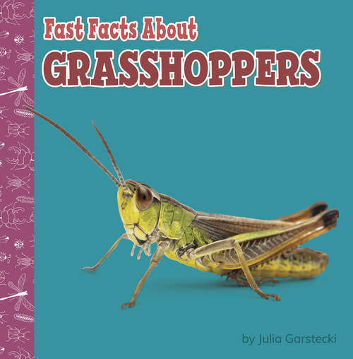 Book cover of Fast Facts About Grasshoppers (Fast Facts About Bugs & Spiders)