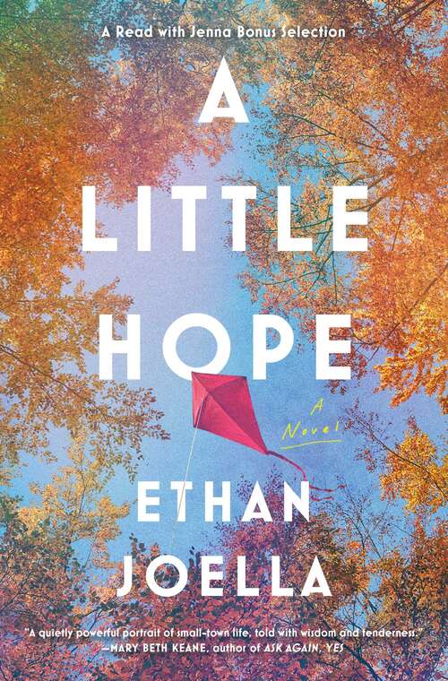 Book cover of A Little Hope: A Novel
