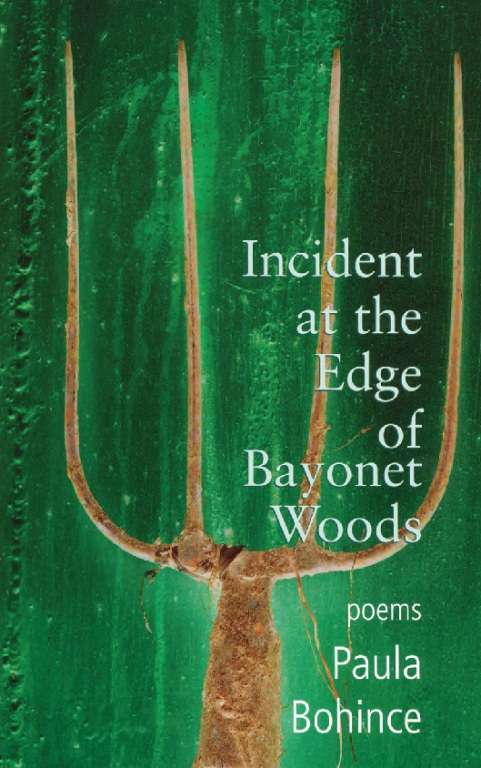 Book cover of Incident at the Edge of Bayonet Woods