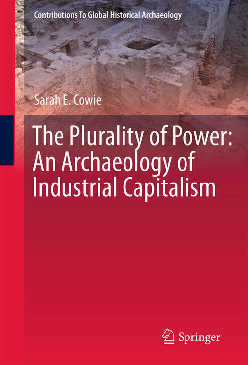 Book cover of The Plurality of Power