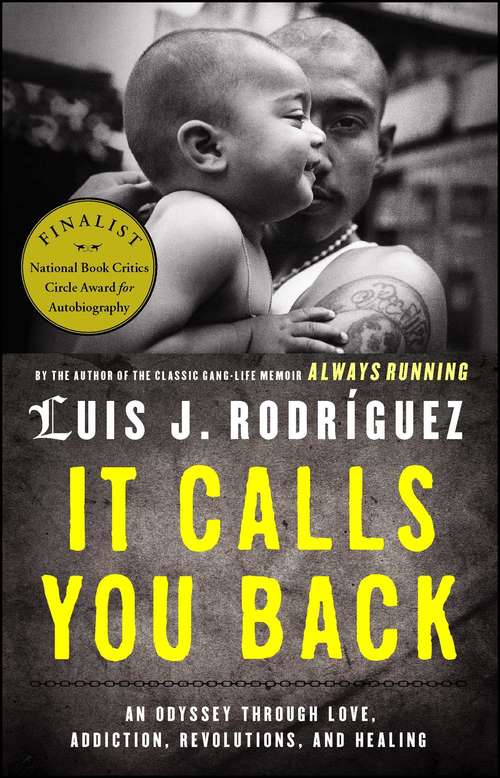 Book cover of It Calls You Back: An Odyssey through Love, Addiction, Revolutions, and Healing