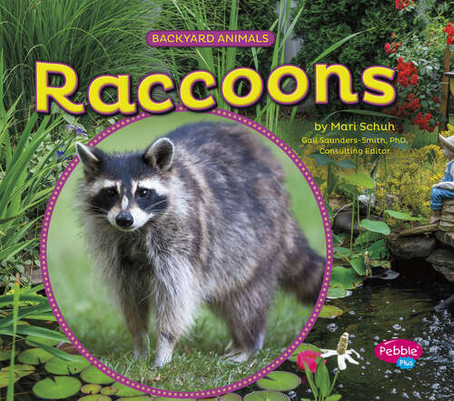 Book cover of Raccoons (Backyard Animals Ser.)