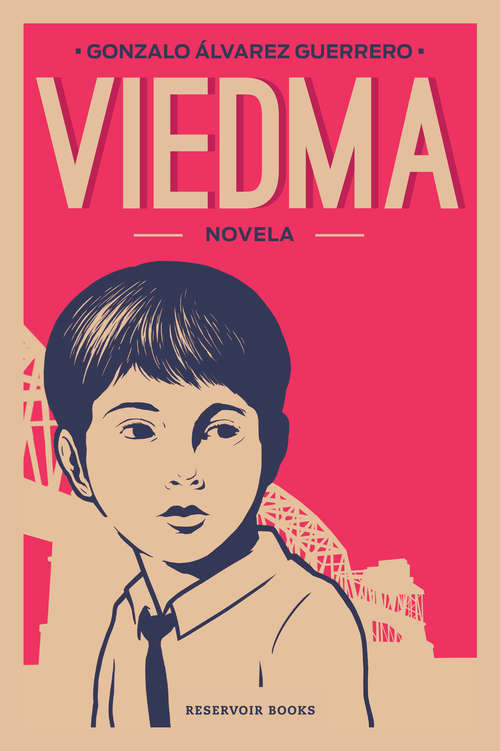 Book cover of Viedma