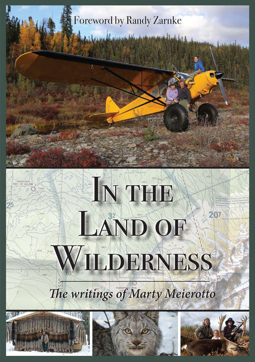 Book cover of In the Land of Wilderness: The writings of Marty Meierotto