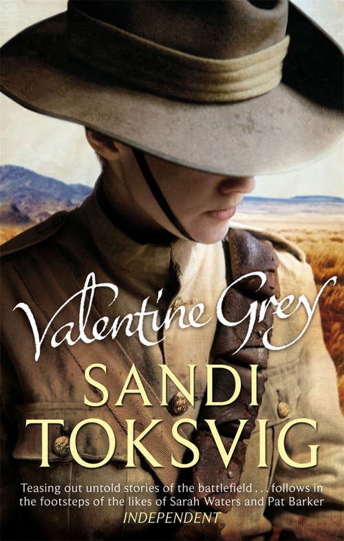 Book cover of Valentine Grey