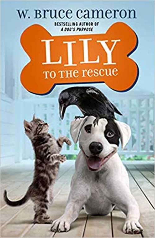 Book cover of Lily to the Rescue (Lily to the Rescue! #1)