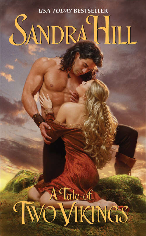 Book cover of A Tale of Two Vikings (Viking I Series #7)