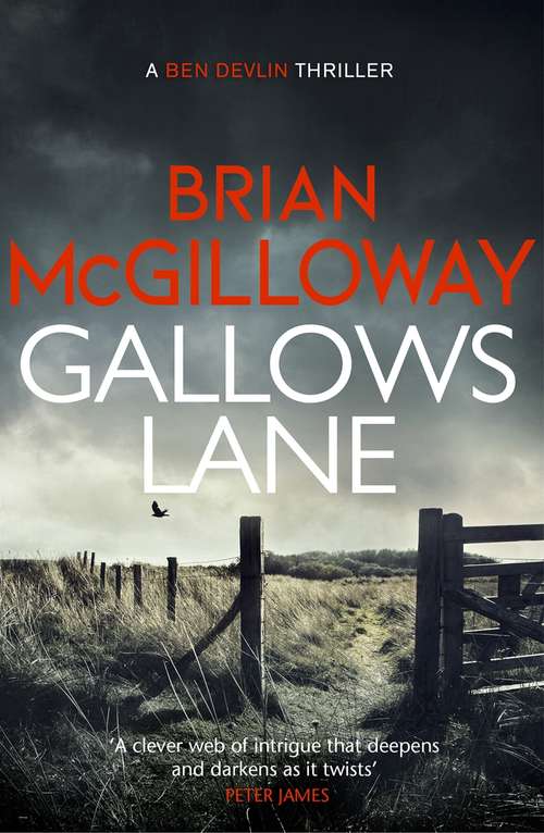 Book cover of Gallows Lane: An ex con and drug violence collide in the borderlands of Ireland...