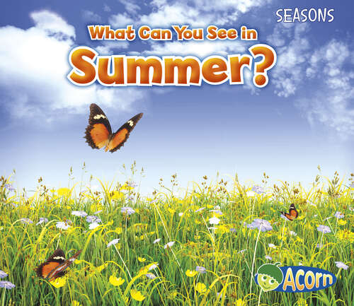 Book cover of What Can You See in Summer? (Seasons Ser.)