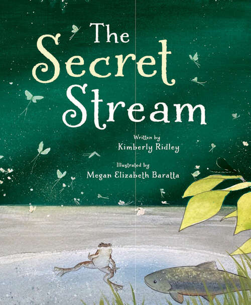 Book cover of The Secret Stream