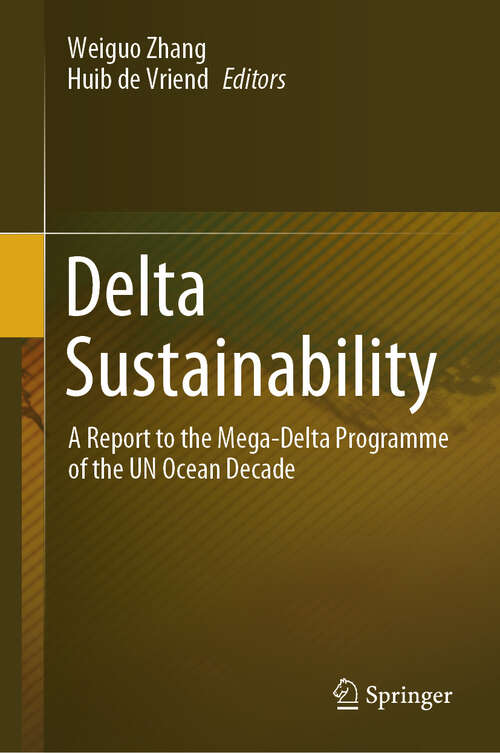 Book cover of Delta Sustainability: A Report to the Mega-Delta Programme of the UN Ocean Decade (2024)