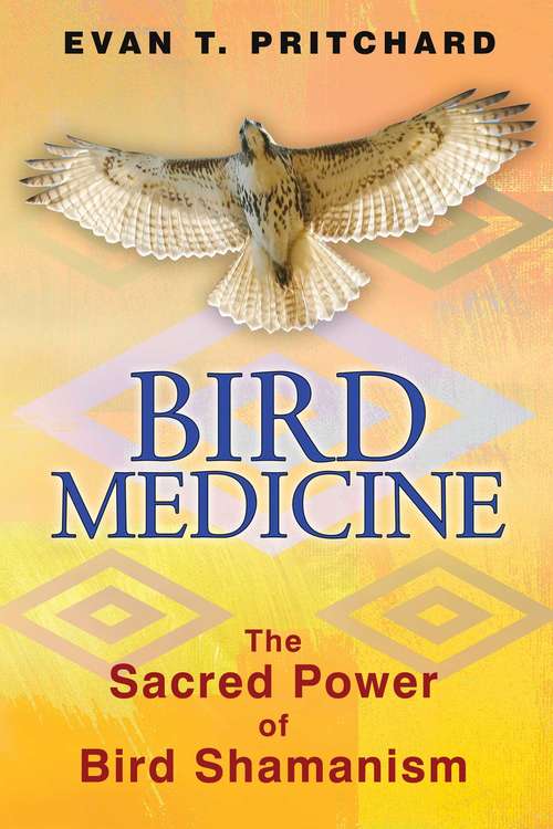 Book cover of Bird Medicine: The Sacred Power of Bird Shamanism