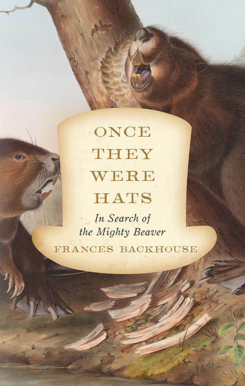 Book cover of Once They Were Hats: In Search of the Mighty Beaver