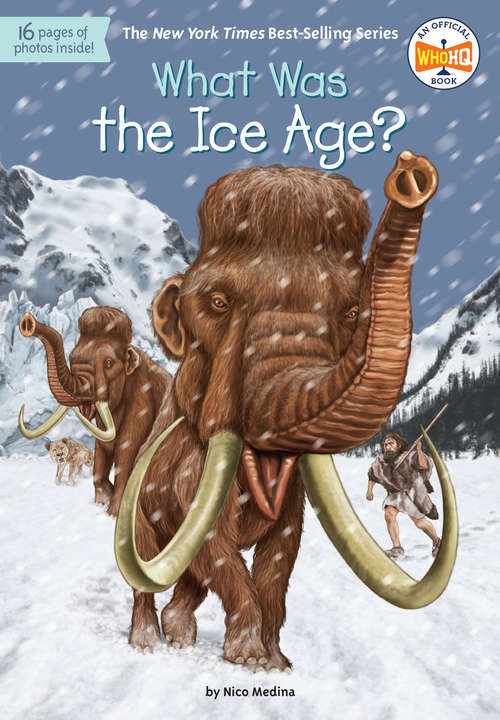 Book cover of What Was the Ice Age? (What Was?)