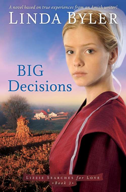 Book cover of Big Decisions: A Novel Based On True Experiences From An Amish Writer!