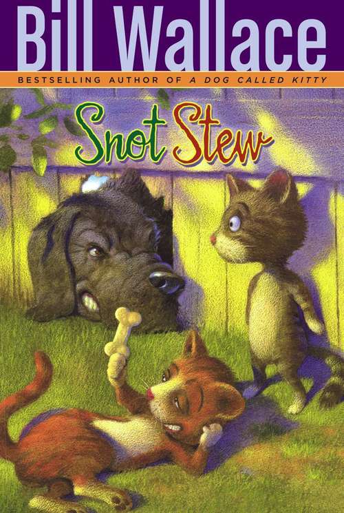 Book cover of Snot Stew