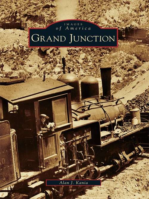 Book cover of Grand Junction