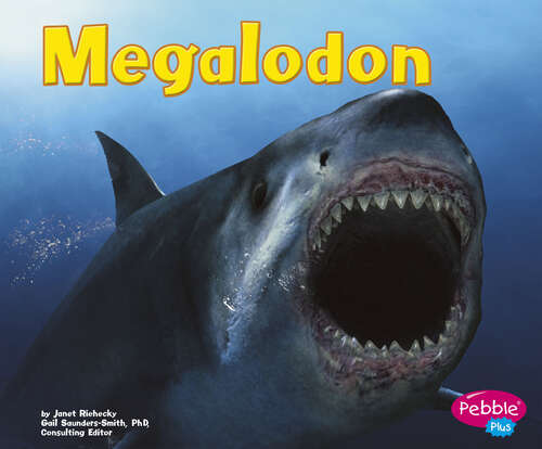 Book cover of Megalodon (Dinosaurs And Prehistoric Animals Ser.)