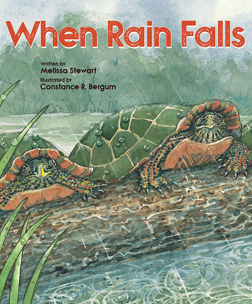 Book cover of When Rain Falls